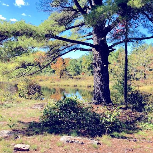 Meet your Posher, Katelynn - Picture 1 of 1